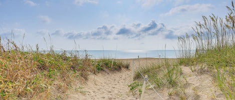 On the beach