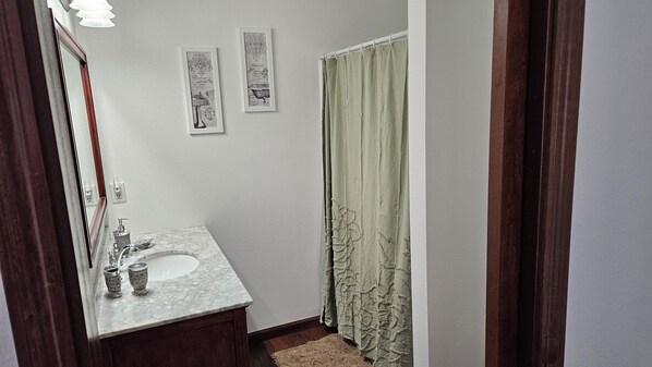A bathroom with a marble sink, a mirror, two framed pictures on the wall, and a green shower curtain.