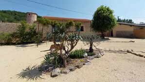 Un bâtiment doté d’une tour en pierre, d’un arbre et d’un espace jardin agrémenté de gravier et de plantes.