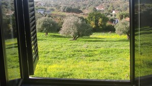 A view through a window with a view of a green field, trees, and a distant hill with houses.