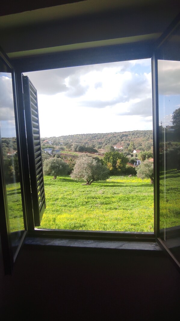 A view through a window with a view of a green field, trees, and a distant hill with houses.