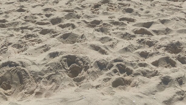 A sandy beach with footprints leading to the water.