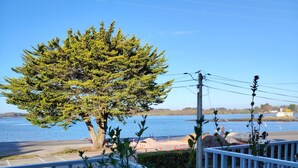 Un balcón con vista al mar, un árbol y un contenedor azul.