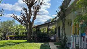 A wooden pathway leading to a house with a thatched roof and a large tree in the yard. - Gaya Pansiyon (Kemer)