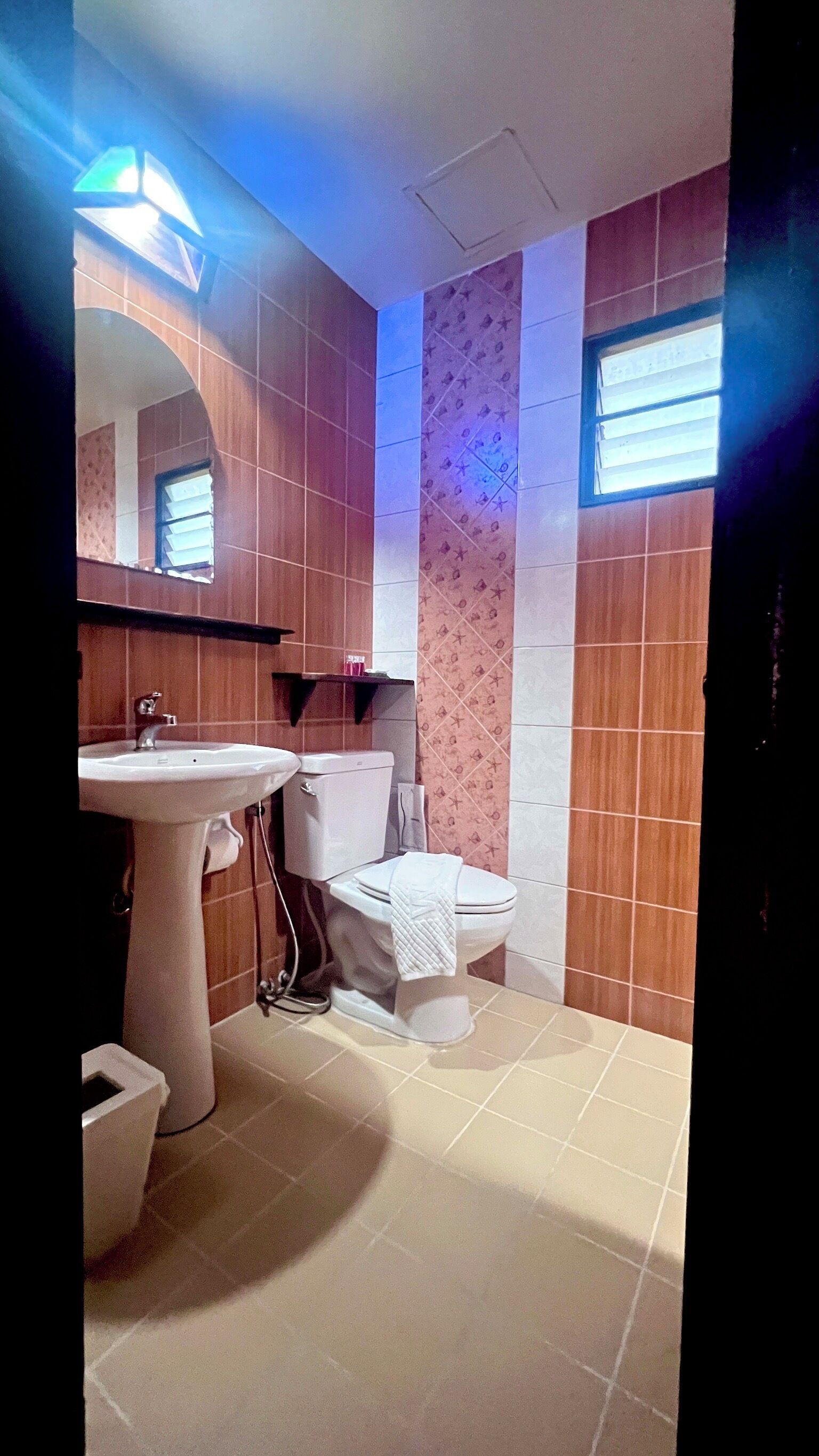A bathroom with a sink, toilet, and mirror.