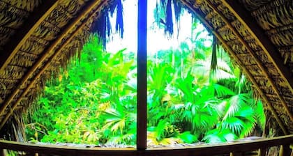 Discover serenity in the Ecuadorian Amazon.
