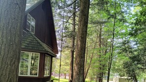A cabin with a sloped roof, surrounded by a forested area with a small stream and a wooden swing.