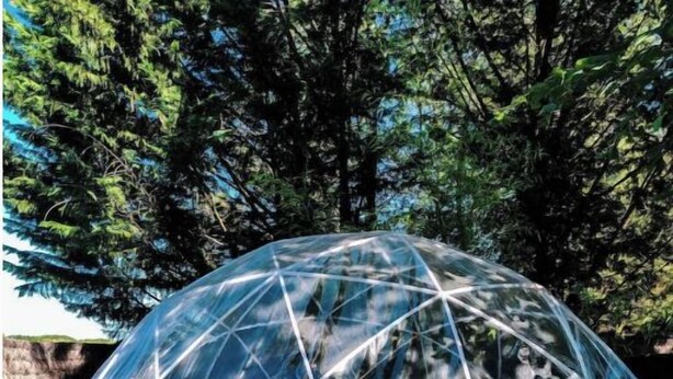A geodesic dome structure with a bench inside, surrounded by trees. - 2 Bedroom Chalet in Pruniers-en-Sologne (Pruniers-en-Sologne)