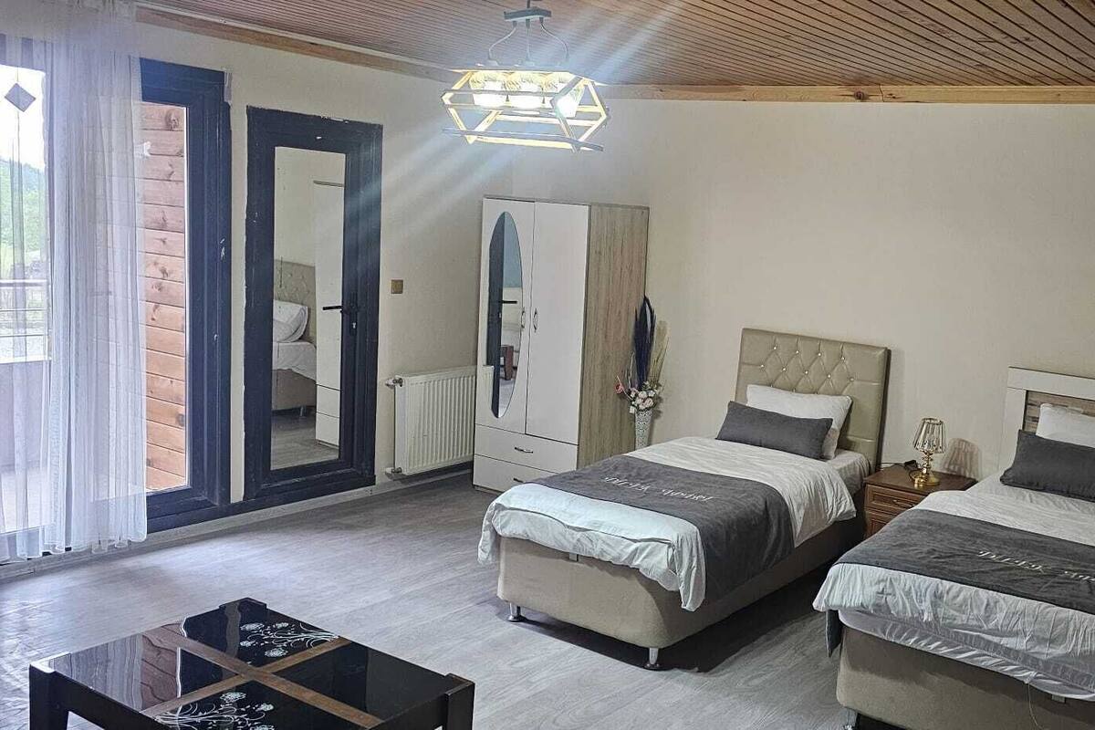 A bedroom with two beds, a dresser, a mirror, and a ceiling light fixture.