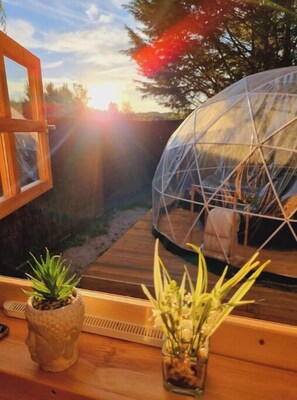 A wooden deck with a glass dome structure, a window, and two potted plants.