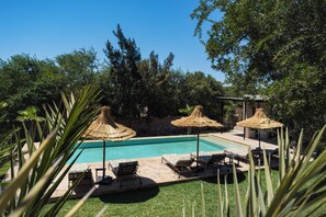 A swimming pool with lounge chairs and thatched umbrellas, surrounded by greenery. - Living Essaouira (Essaouira)