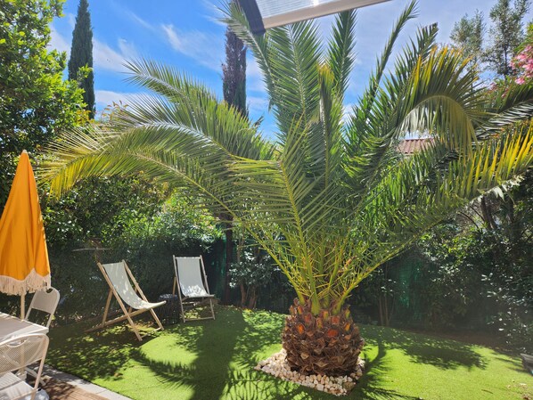 A garden with a palm tree, two white chairs, and a yellow umbrella. - Nice family home in La Ciotat (La Ciotat)