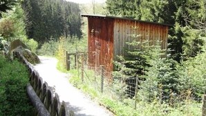 Camí estret delimitat per un bosc dens i una tanca de fusta.