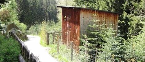 A narrow road flanked by dense forest and a wooden fence.