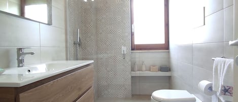 Shower, hair dryer, bidet, soap