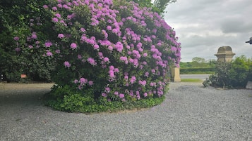 House | Property grounds