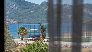 Vista costera con coches aparcados, una palmera y montañas al fondo.