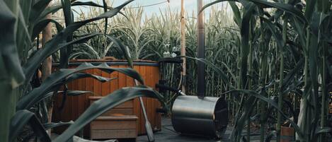 Terrain de l’hébergement