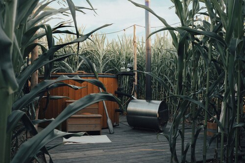 Glamping La Ferme Tent II