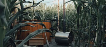 Glamping La Ferme Tent II