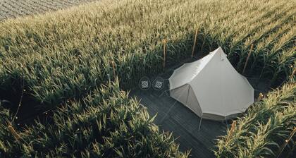Glamping La Ferme Tent II