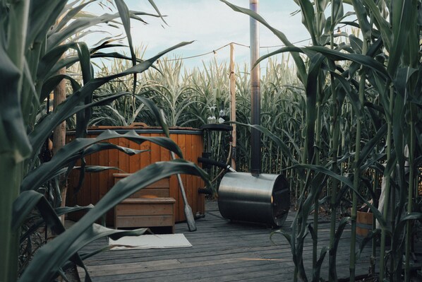 Jardines del alojamiento