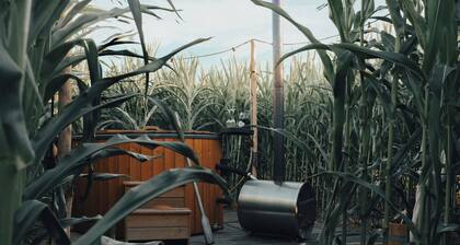 Glamping La Ferme tent III