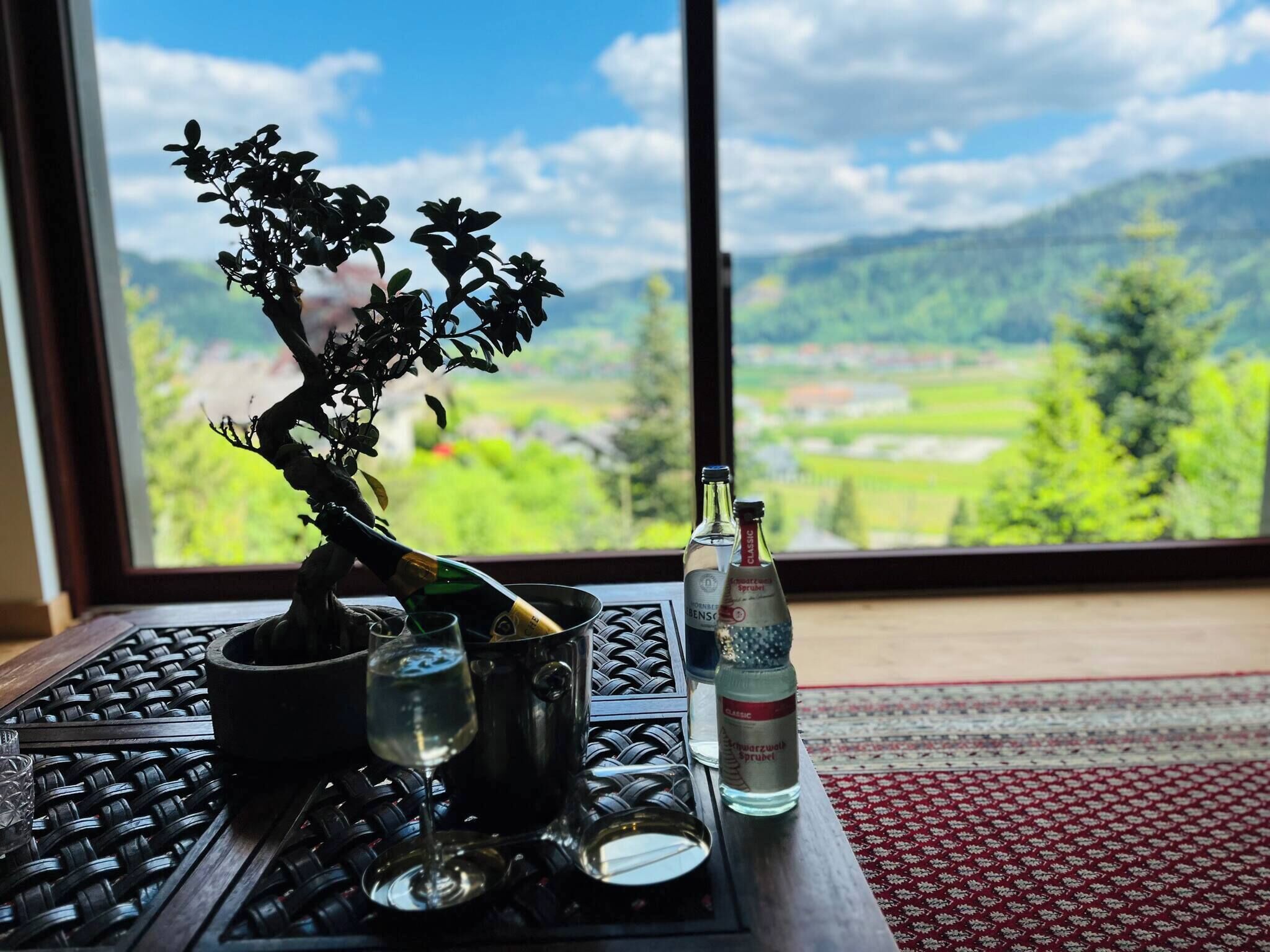Apartment, 1 Schlafzimmer, Terrasse, Gartenblick | Blick von der Unterkunft