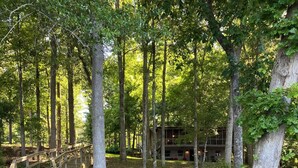 Une promenade en bois menant à un chalet situé dans une zone boisée.