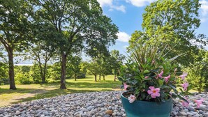 A garden with a potted plant featuring pink flowers, surrounded by a gravel path and trees in the background.