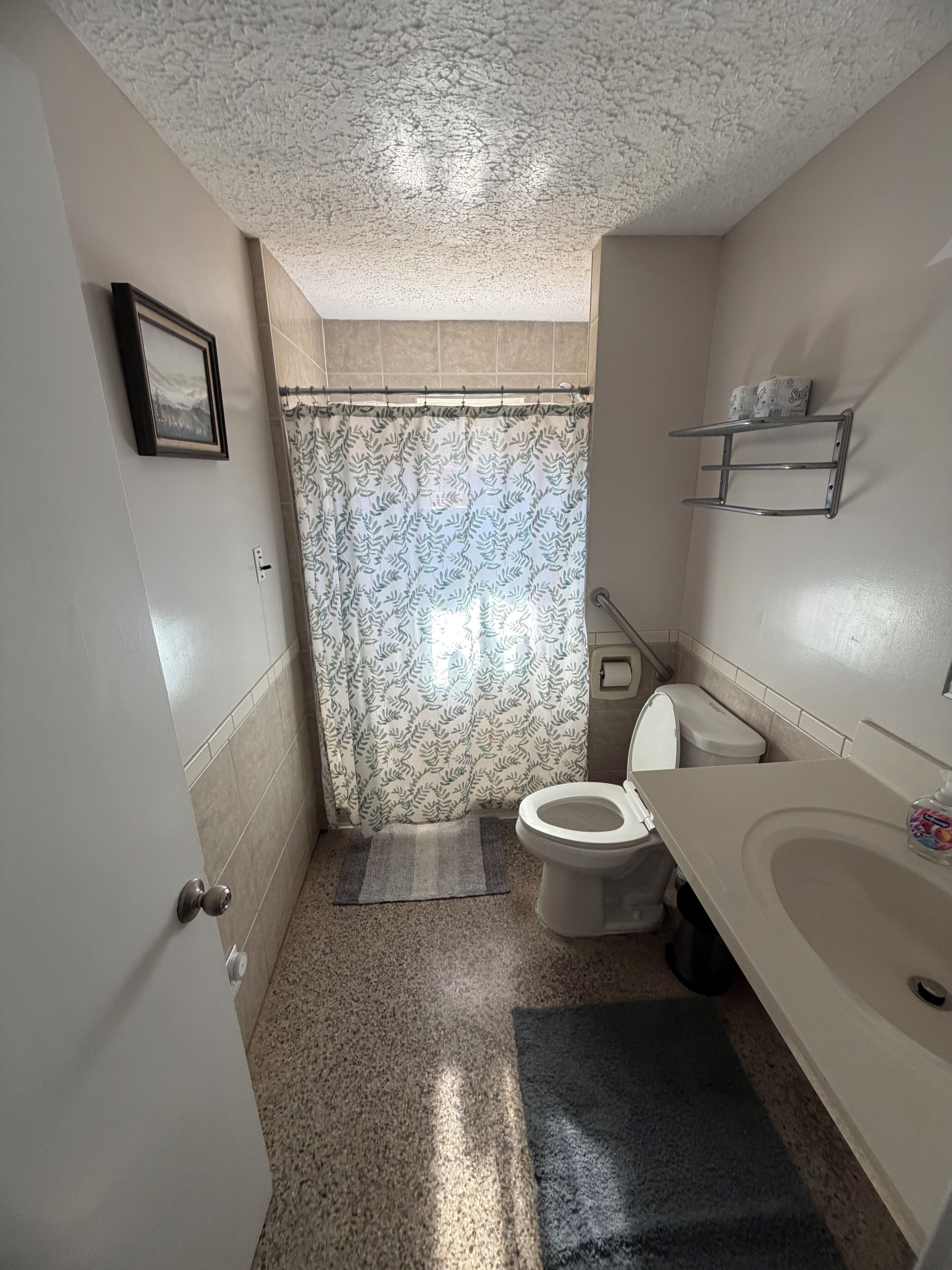Un bagno con il water, un lavandino, una tenda da doccia, un portascopevoli e un quadro appeso al muro.