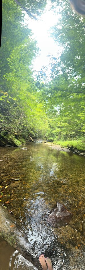 Miscellaneous - 5min to Breweries and 25min to Tail of the Dragon. Pool table + pet friendly! (Andrews)