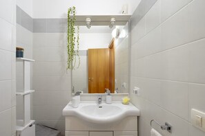 Shower, hair dryer, bidet, towels