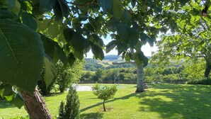Un jardín bien cuidado con diversas especies de árboles, una vista despejada del paisaje y una zona pavimentada en primer plano.