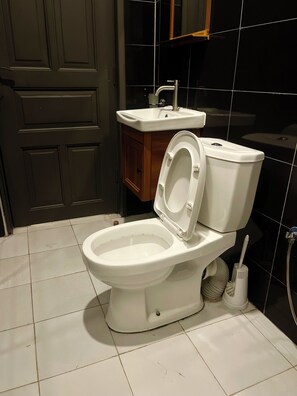 Appartement | Salle de bain | Douche, serviettes fournies