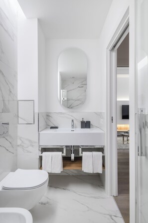 Shower, hair dryer, bidet, towels