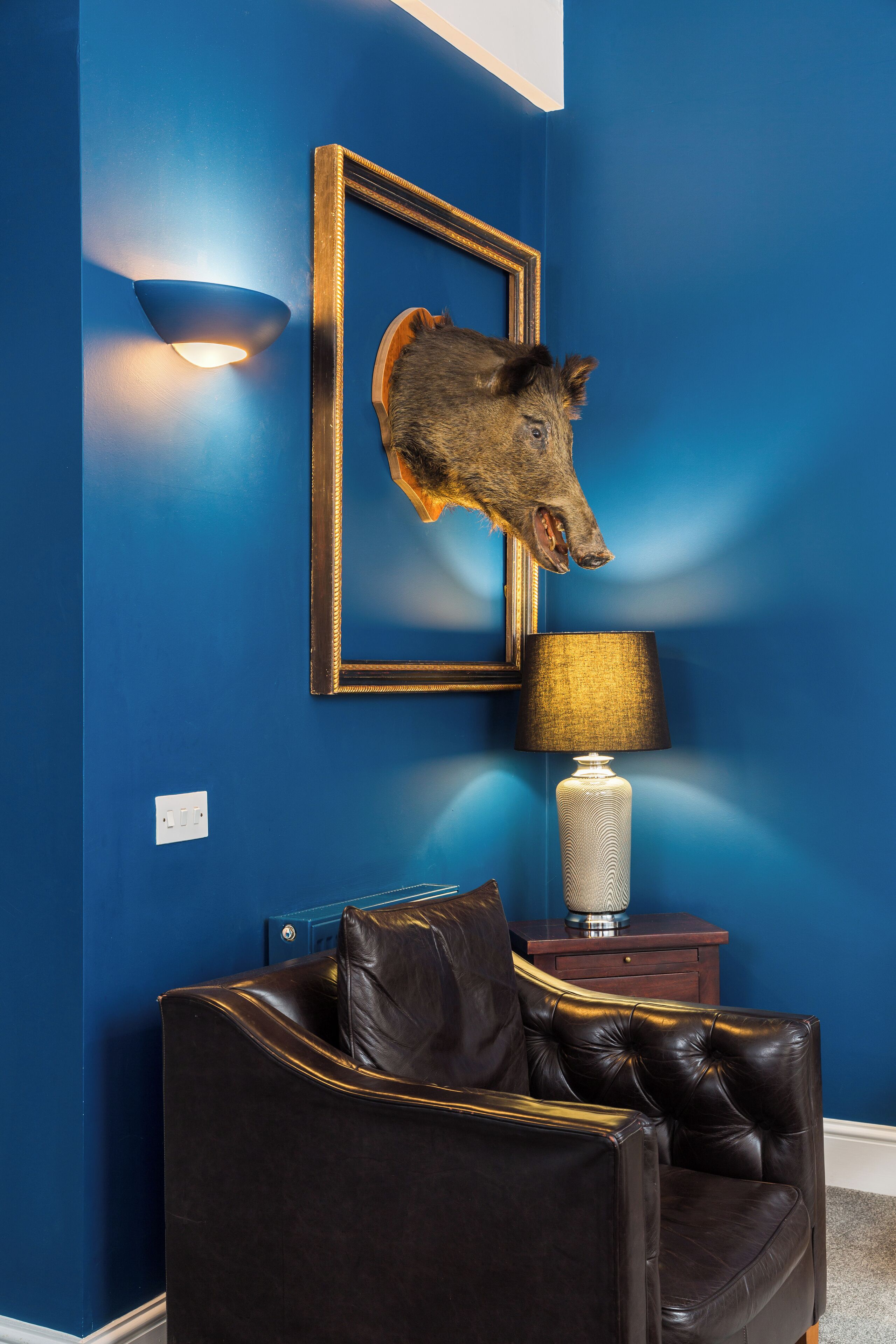 Una habitación con una pared azul, una cabeza de animal enmarcada en la pared, una lámpara y un sofá de cuero.