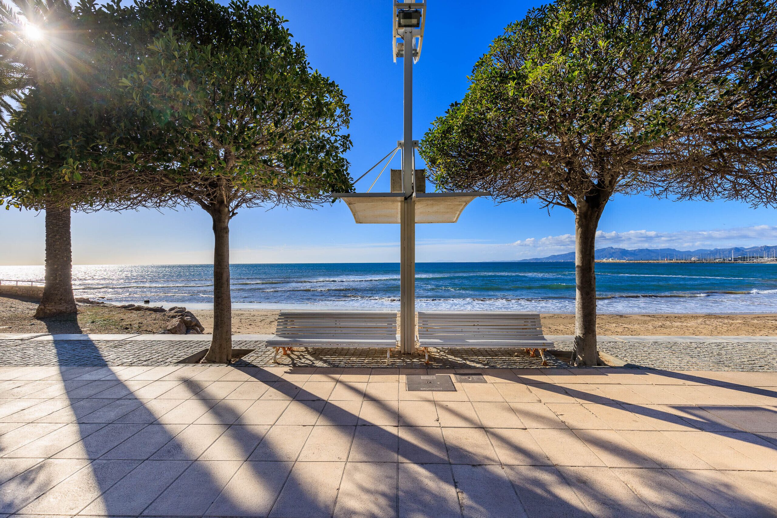Une promenade en bord de mer avec un banc, des arbres et une vue sur l’océan.