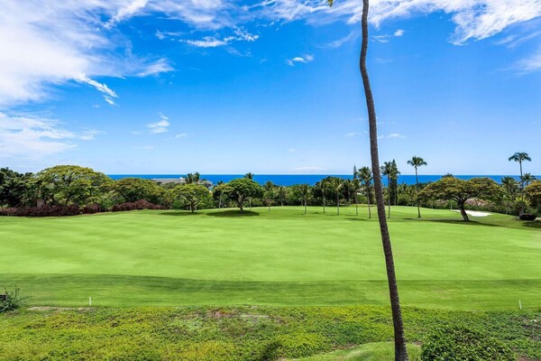 Ccv 316 Spacious Top Floor Oceanview Lanai W/ Ac - Hawaii