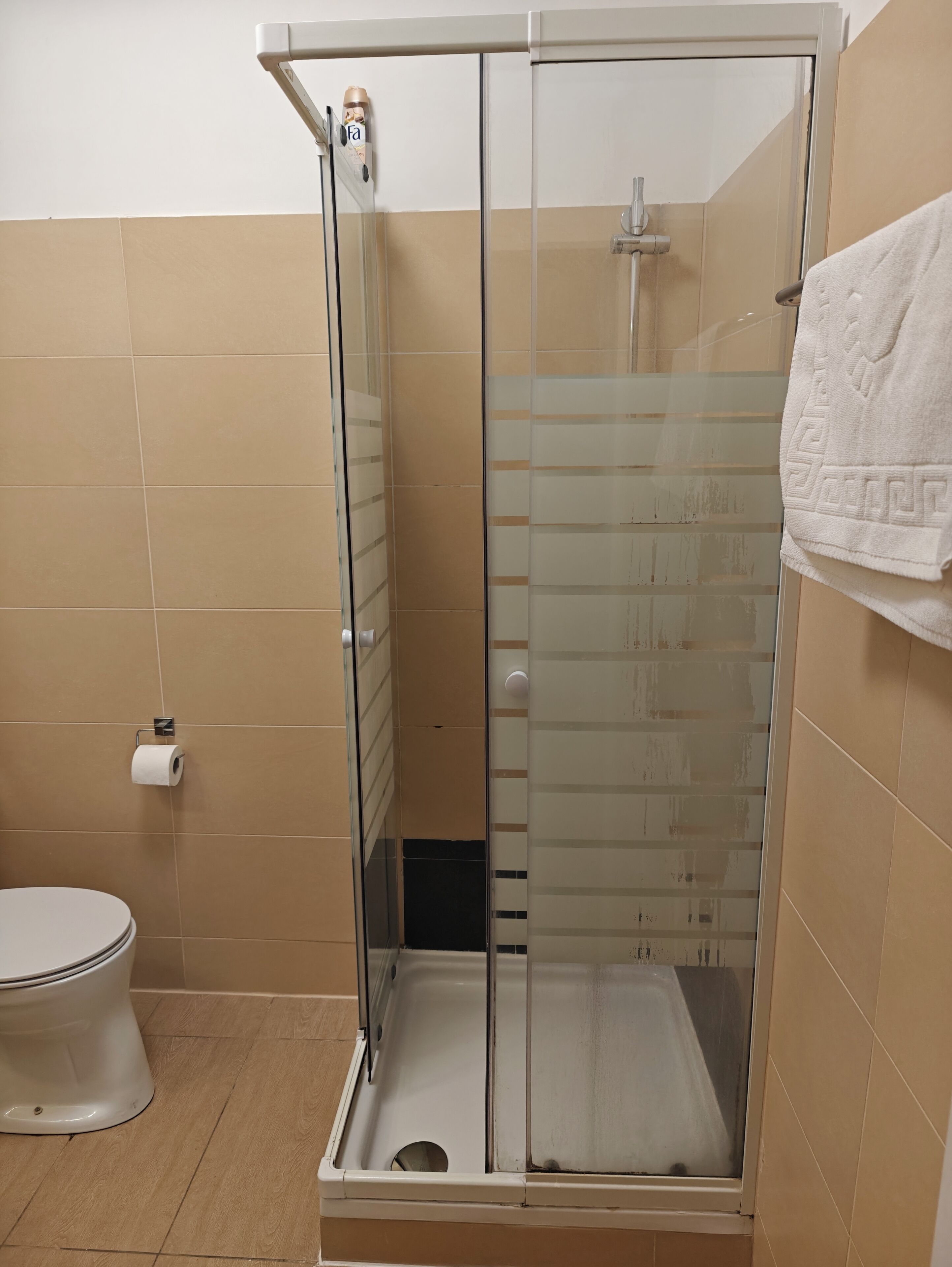 A bathroom with a glass-enclosed shower, a toilet, and a towel hanging on the wall.