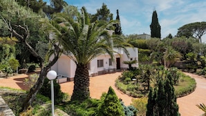 Un bâtiment blanc doté d’un patio entouré d’une végétation luxuriante, notamment de palmiers et de divers arbustes.