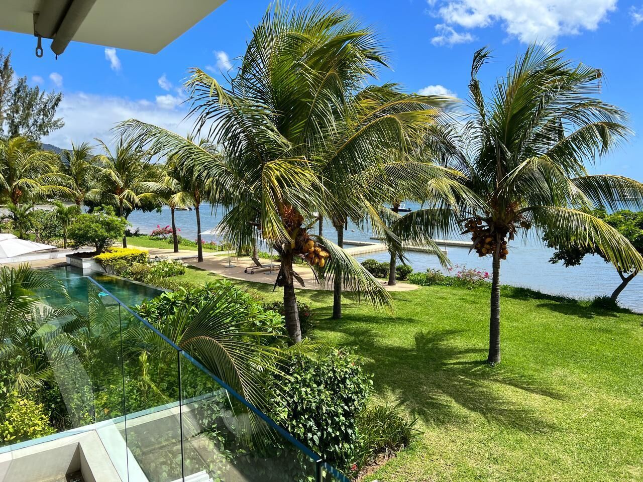 Un área junto a la piscina con palmeras, una piscina infinita de cristal y vistas al mar.