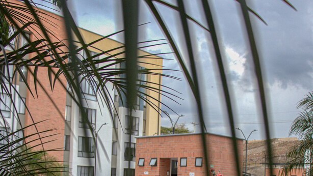 A swimming pool with a brick building in the background, surrounded by palm trees and a fence.