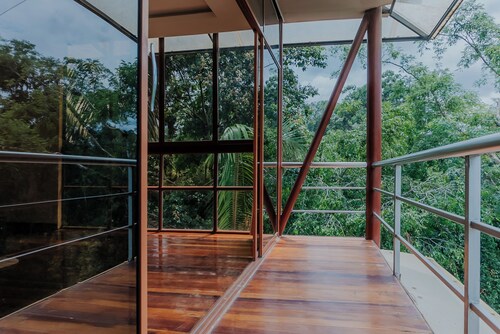 Piranha Eco-Lodge with Guided Tour