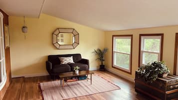 Smart TV, chimenea y libros