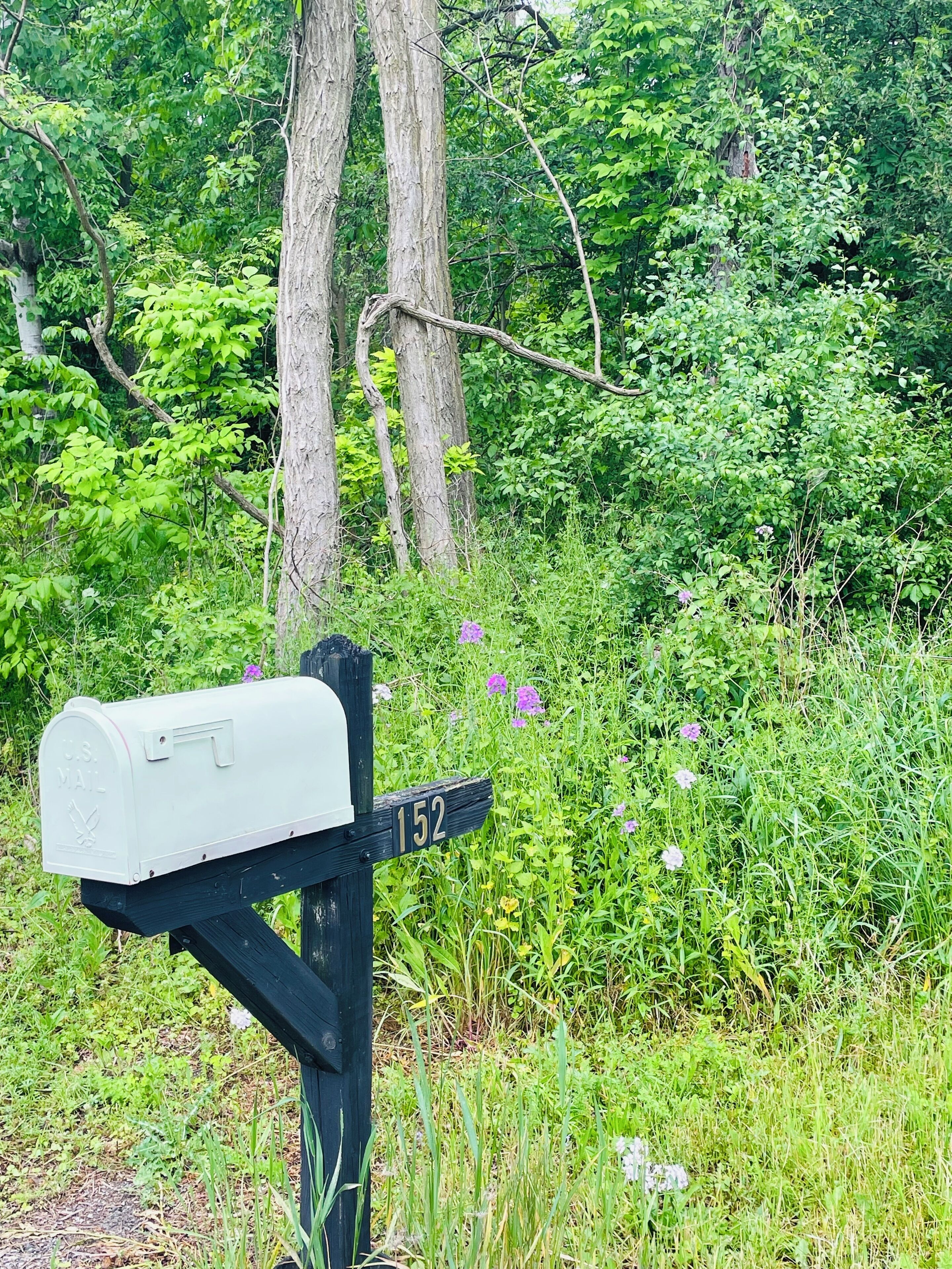 A mailbox with a U.S. Mail label, attached to a post marked with the number 152, surrounded by lush greenery and wildflowers.