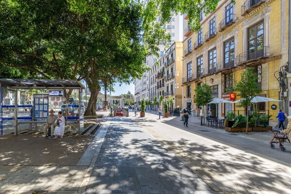 A city street with a bus stop, trees, and buildings.