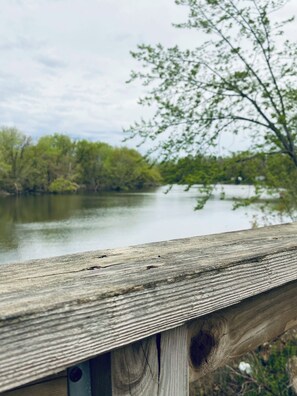 المنطقة المحيطة بالمنشأة