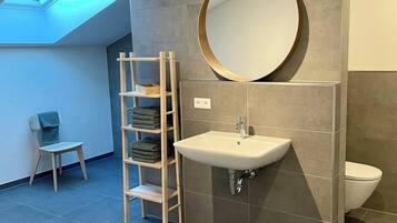 Shower, hair dryer, soap, toilet paper