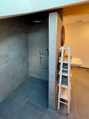 Shower, hair dryer, soap, toilet paper